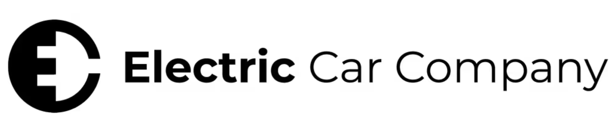 The Electric Car Company